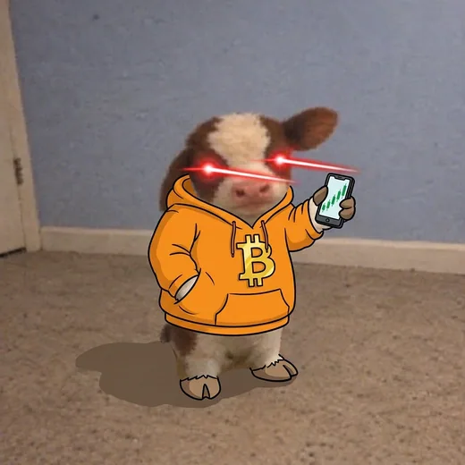 binky in a Bitcoin hoodie checking a chart on its phone